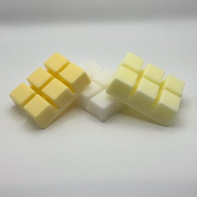 🕯️ Wicked Wax Melts – Sinister Fall Fragrance Collection (3 oz / 85 g) Square Pack