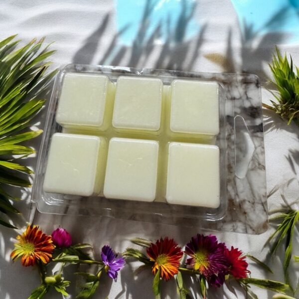 Wicked Wax Melts – Winter Fragrance Collection (2 oz / 56.7 g) Square Shape