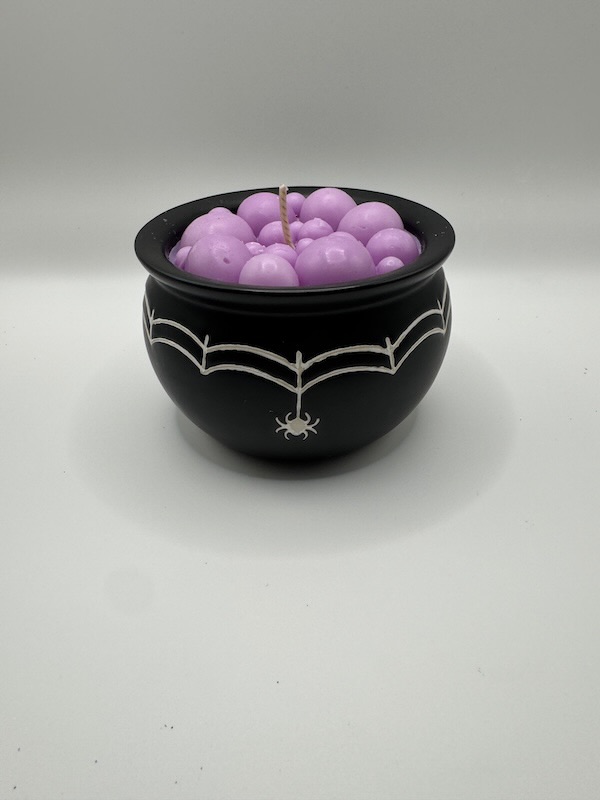 🕸️Midnight Web-Limited edition